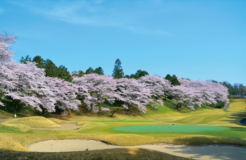 ゴルフのベストシーズン到来 桜が奇麗なおすすめゴルフ場9選 ゴルフサプリ