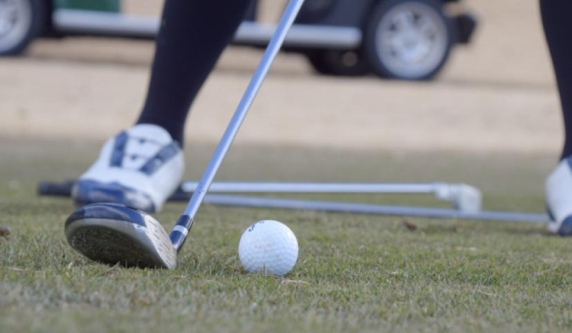 フェアウェイウッド