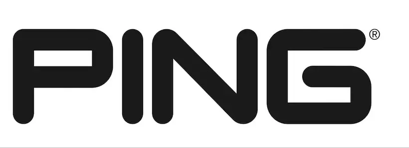 ピン(PING)