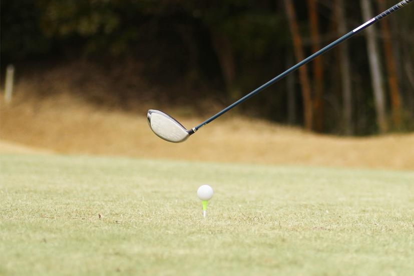 レディースドライバーの選び方