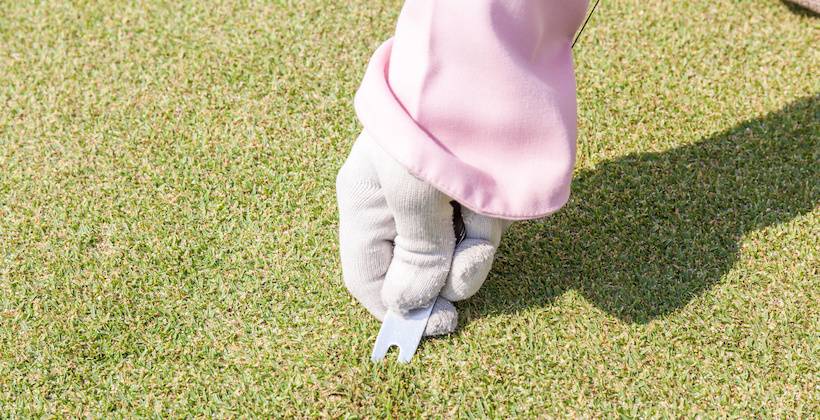 グリーンフォーク,種類,選び方