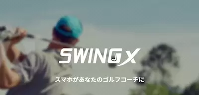 SwingX