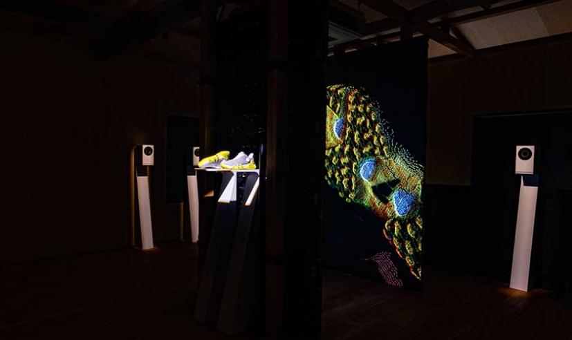 コードカオスがHYPEGOLFをジャック！アディダスゴルフ「コードカオス22」ポップアップストアを東京・代官山に期間限定オープン