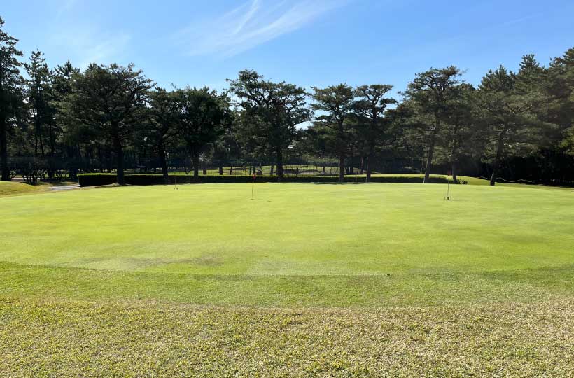 ゴルフ場,グリーンの芝