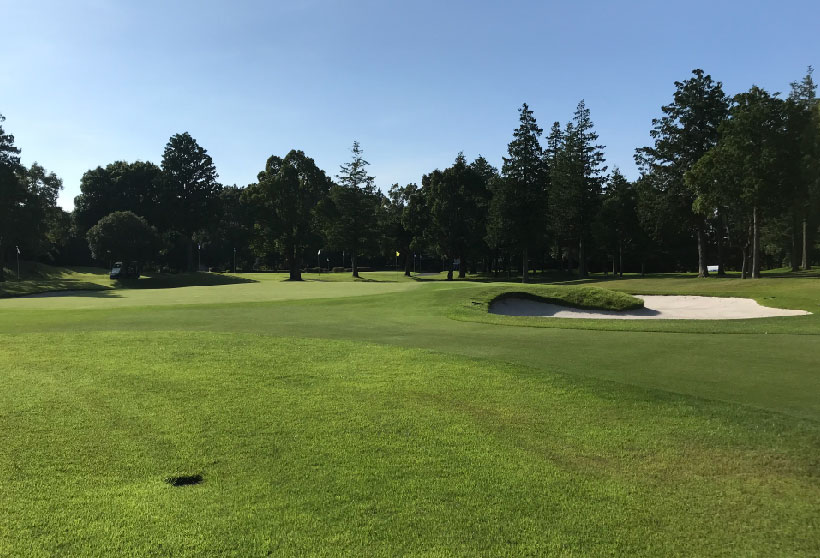 グリーンは手前から攻めろといわれるのはなぜ?グリーンの特徴をマスターしてスコアアップに繋げよう|ゴルフサプリ