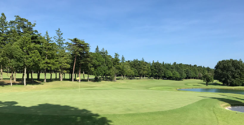 ゴルフ場,グリーン
