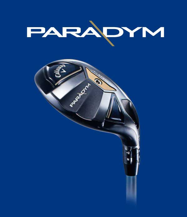 PARADYMユーティリティ