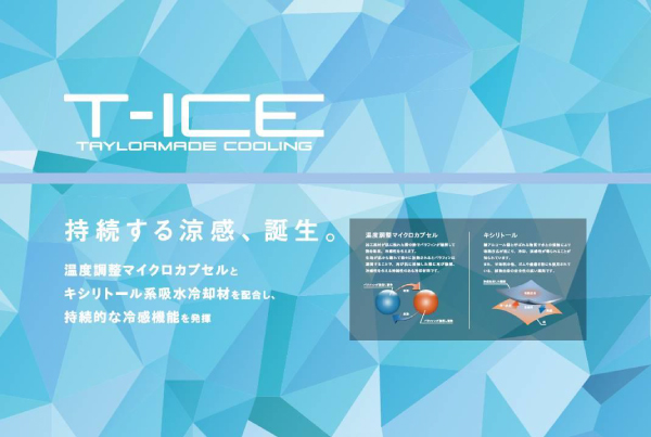 T-ICE