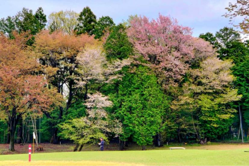 ゴルフ場