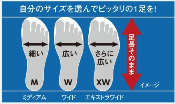 ベストなフィッティング