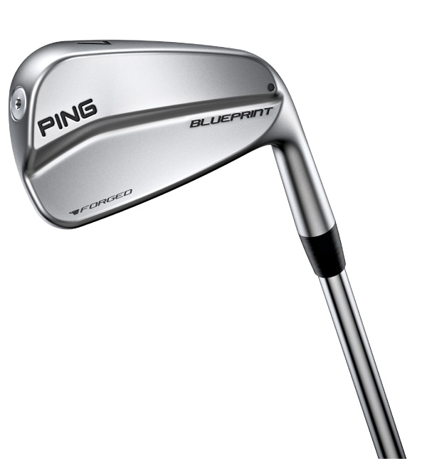 PING ブループリント