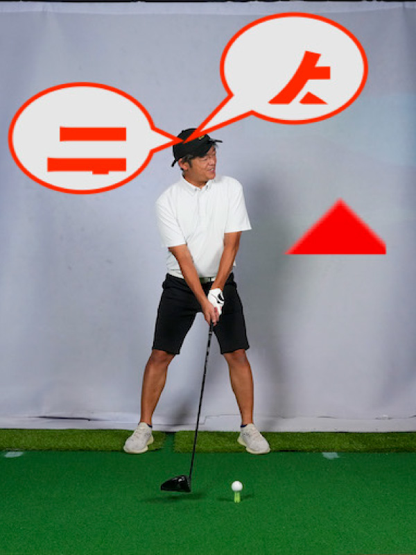 田渕信行,アドレス