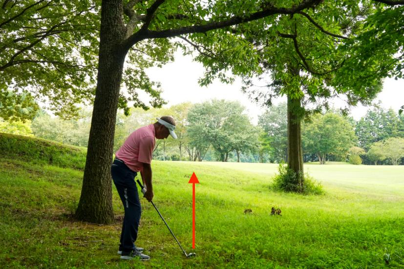 北野正之,ゴルフ場,林