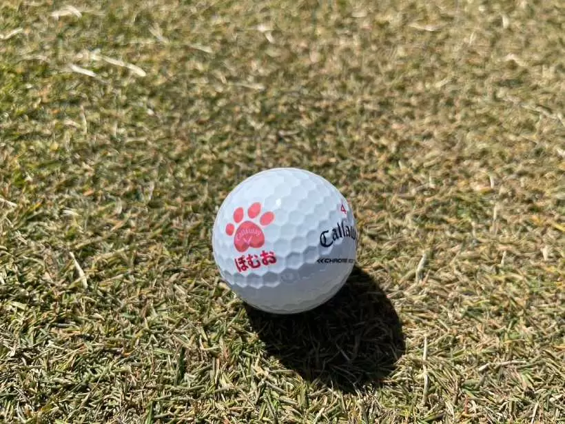 キャロウェイ,ゴルフボール