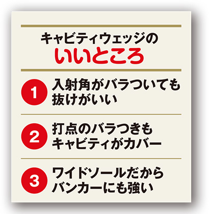 キャビティウェッジ