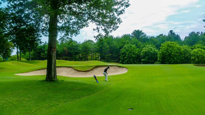 ゴルファー,アプローチショット