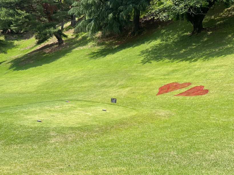 ゴルフ場,女性イベント