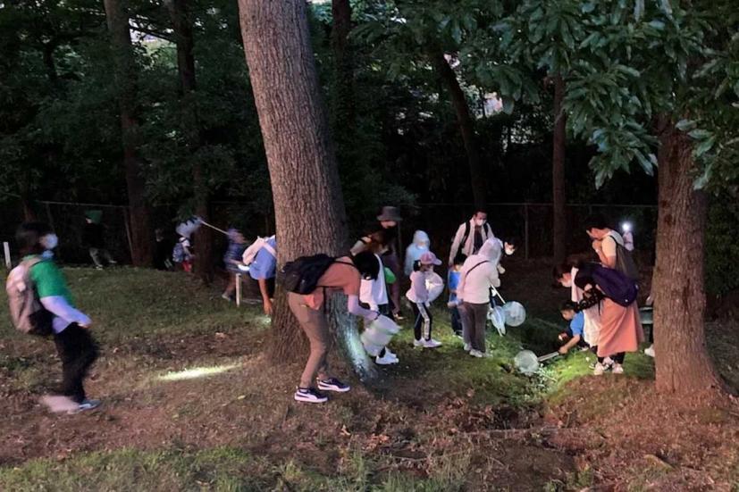 夜のゴルフ場で昆虫を観察!「夏休みの自然観察会 とんもり谷戸」開催
