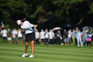 フェアウェイウッド,フォロー