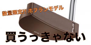 買うっきゃない！ ホブラン・エディションのピン「PLD MILLED SE