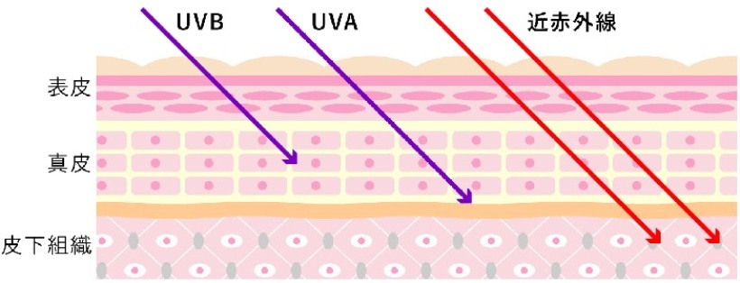デサント,ゴルフアイテム,