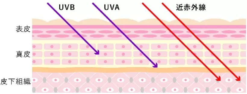 デサント,ゴルフアイテム,