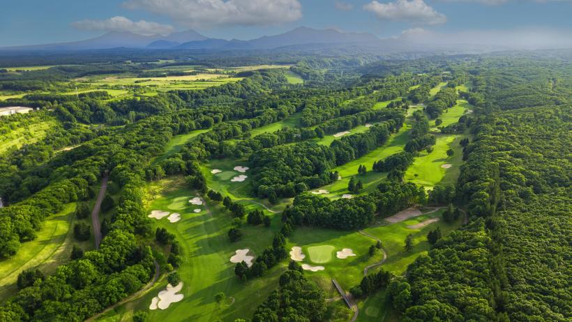 アマチュア大会,イベント